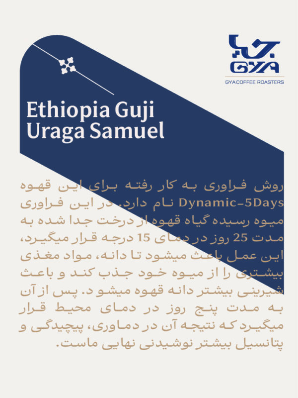 قهوه ای خاص Ethiopia Hambela - تصویر 3