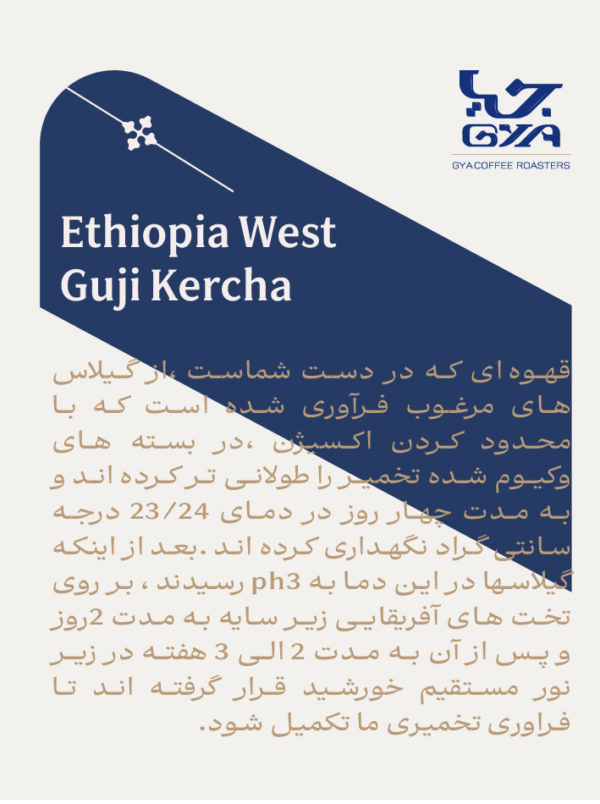 قهوه ای خاص Ethiopia Hambela - تصویر 5