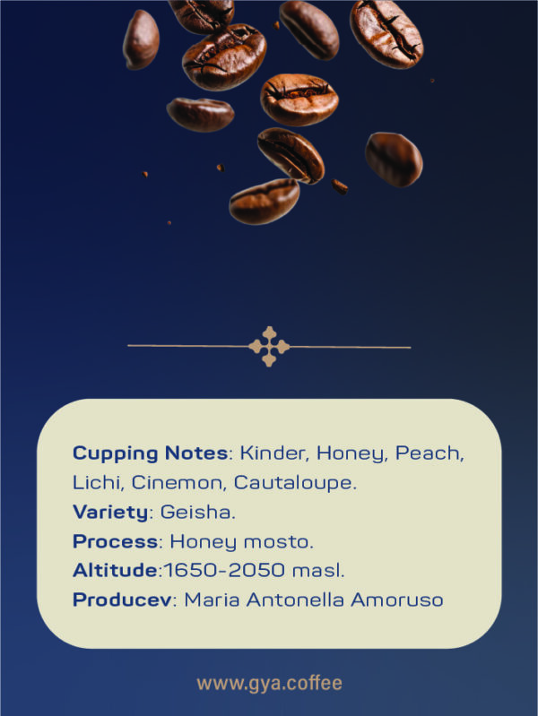قهوه ای خاص Panama Finca Hartman - تصویر 3
